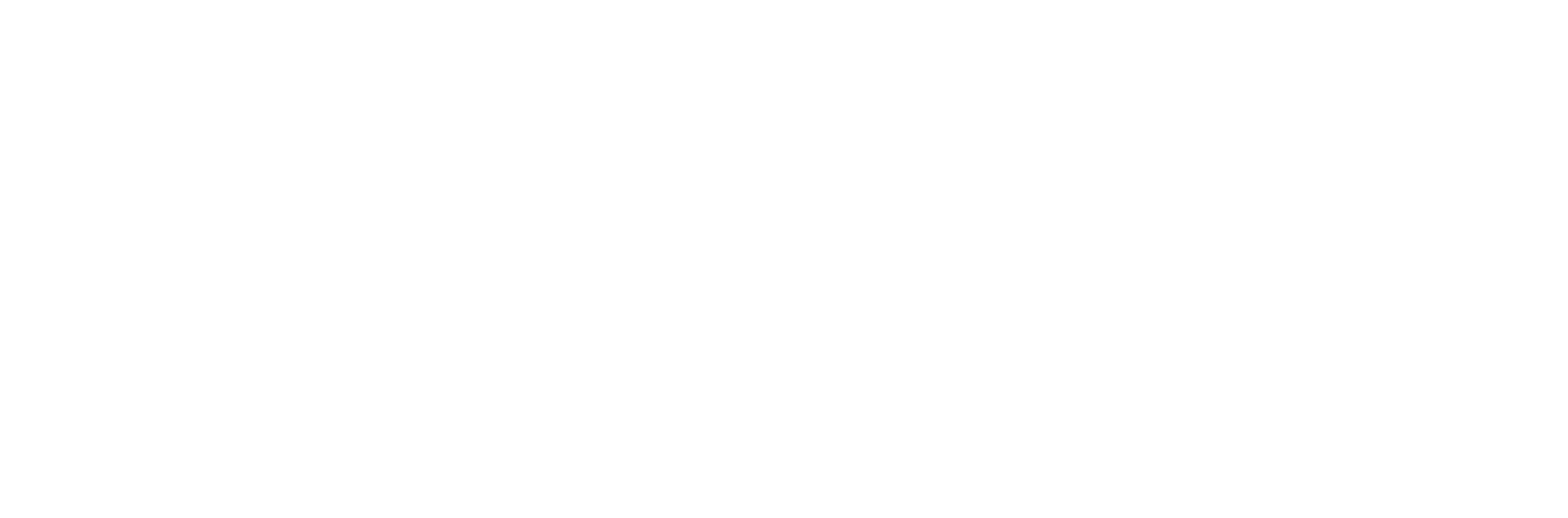 25 Years as a leading Notary in London